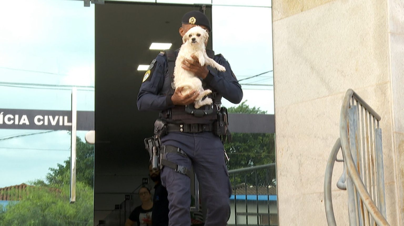 Cachorra Resgatada Foge de Órgão Municipal em Ribeirão Preto e Gera Forte Crítica da Família à Prefeitura