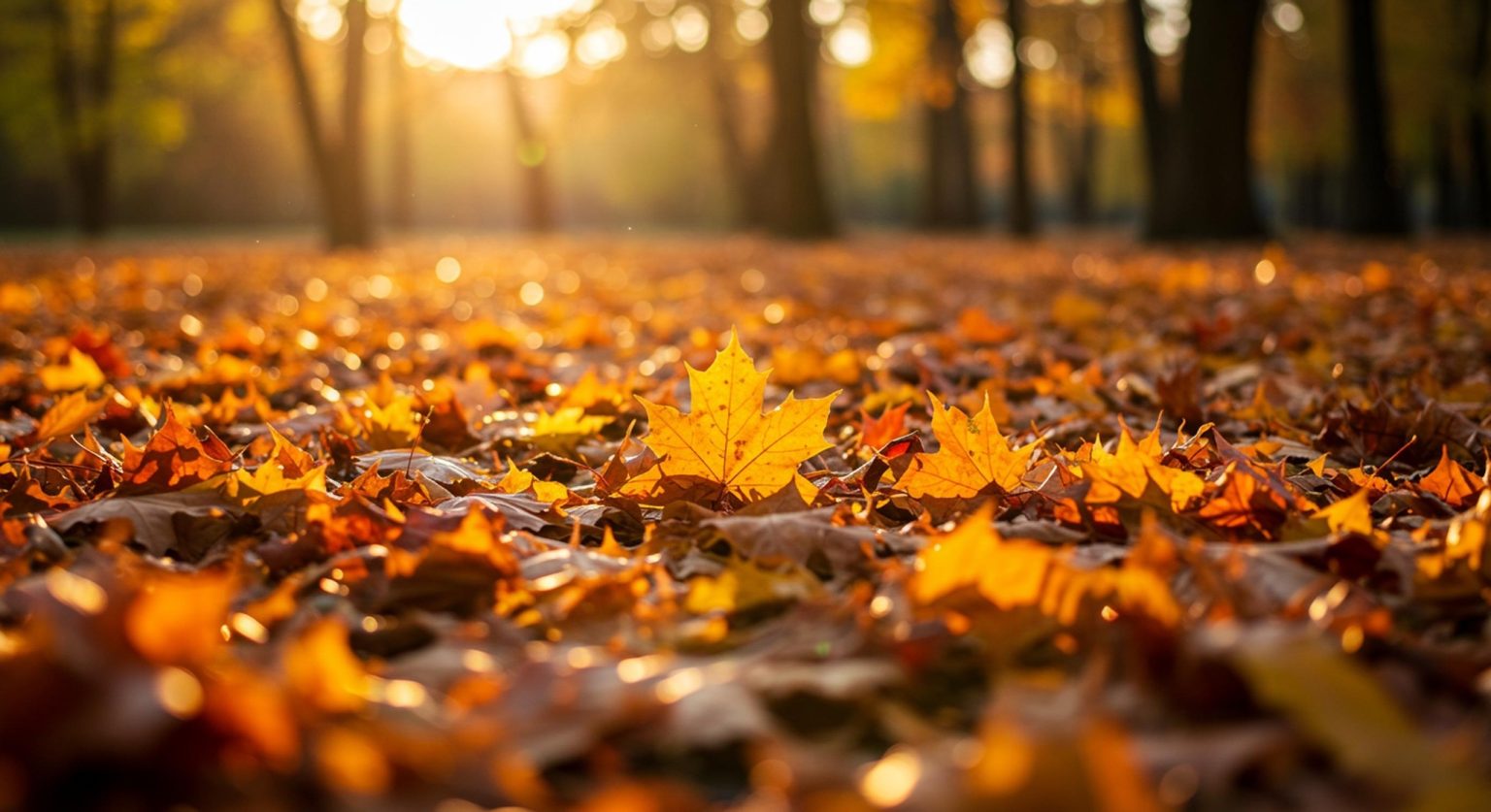 Outono Inicia com Clima de Verão Persistente: Previsão Detalhada para Cada Estado Brasileiro
