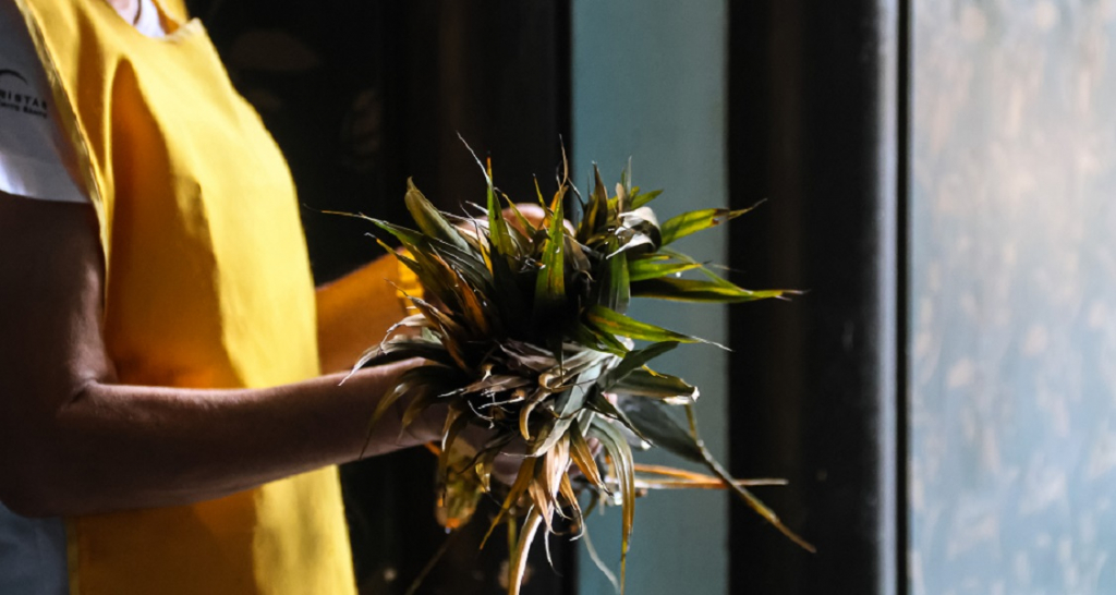 Domingo de Ramos: O Marco Inicial da Semana Santa e Sua Profunda Simbologia