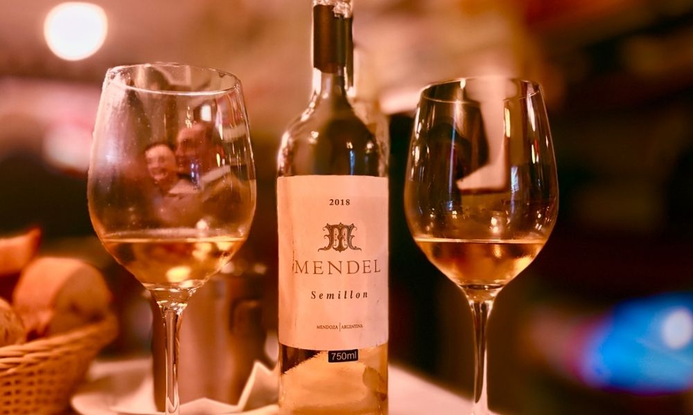 Altitude e Frescor: A Revolução dos Vinhos Brancos na Argentina