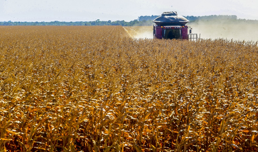 Governo Federal Intensifica Monitoramento de Impactos do ‘Super El Niño’ no Agronegócio
