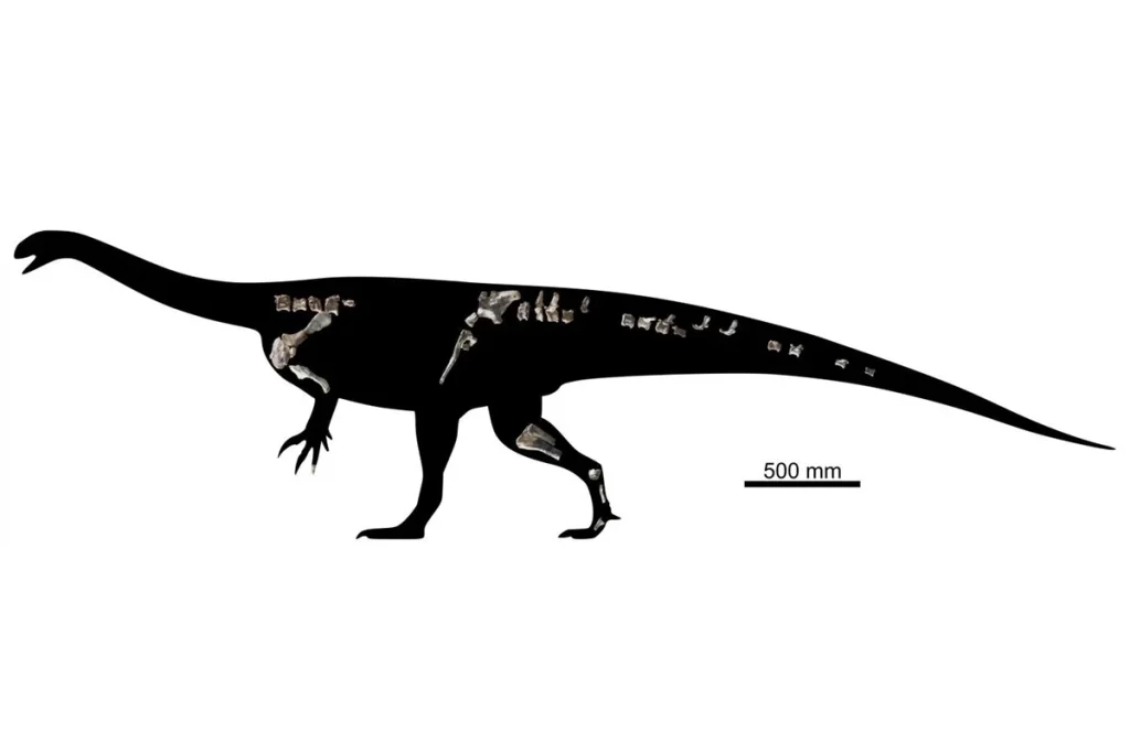 Descoberta na África: Fóssil de Dinossauro do Tamanho de um Porco Redefine Compreensão da Diversidade Pré-Histórica