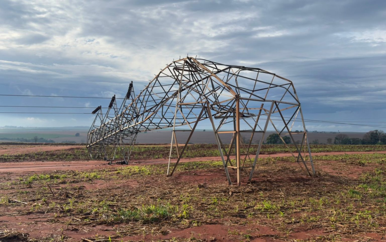 Temporal Devasta Região de Ribeirão Preto: Milhares Sem Energia e Cidades em Emergência