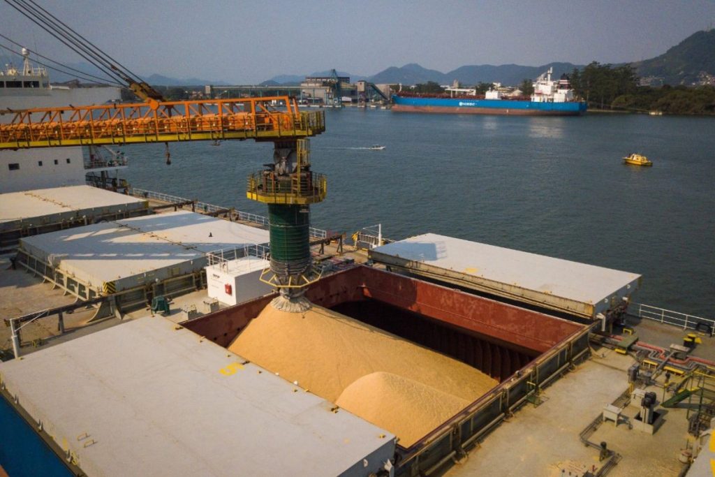 Justiça do Trabalho Condena Empresa em R$ 150 Mil por Trabalho Clandestino no Porto de Santos