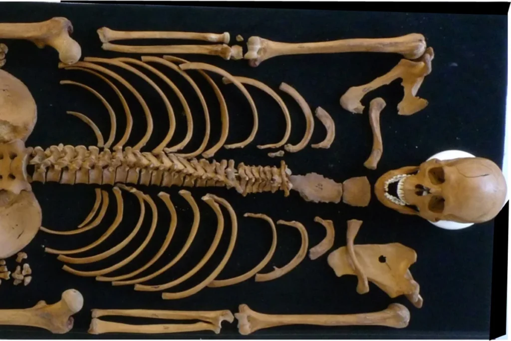Arqueologia Forense Reconstitui Assassinato Brutal de Soldado Romano Há Dois Mil Anos